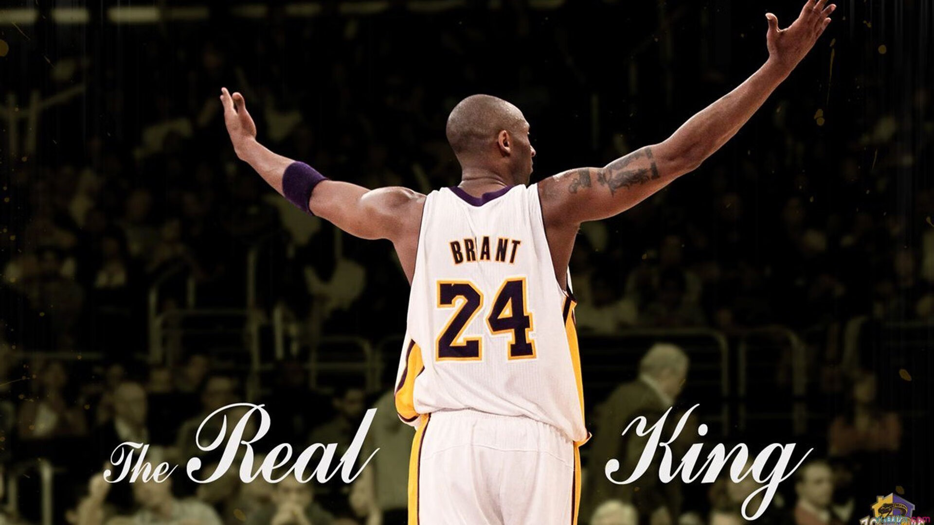 埃里克·滕哈格或将重返英超!狼队盯上前曼联主帅,能否扭转颓势?